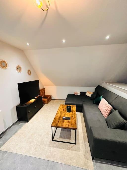 Superbe Maison A Proximite Du Centre De Strasbourg ビシュハイム エクステリア 写真