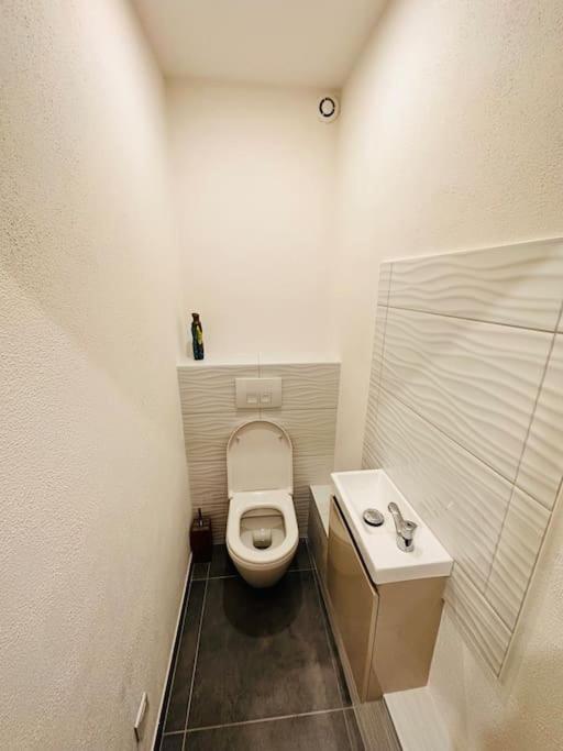 Superbe Maison A Proximite Du Centre De Strasbourg ビシュハイム エクステリア 写真